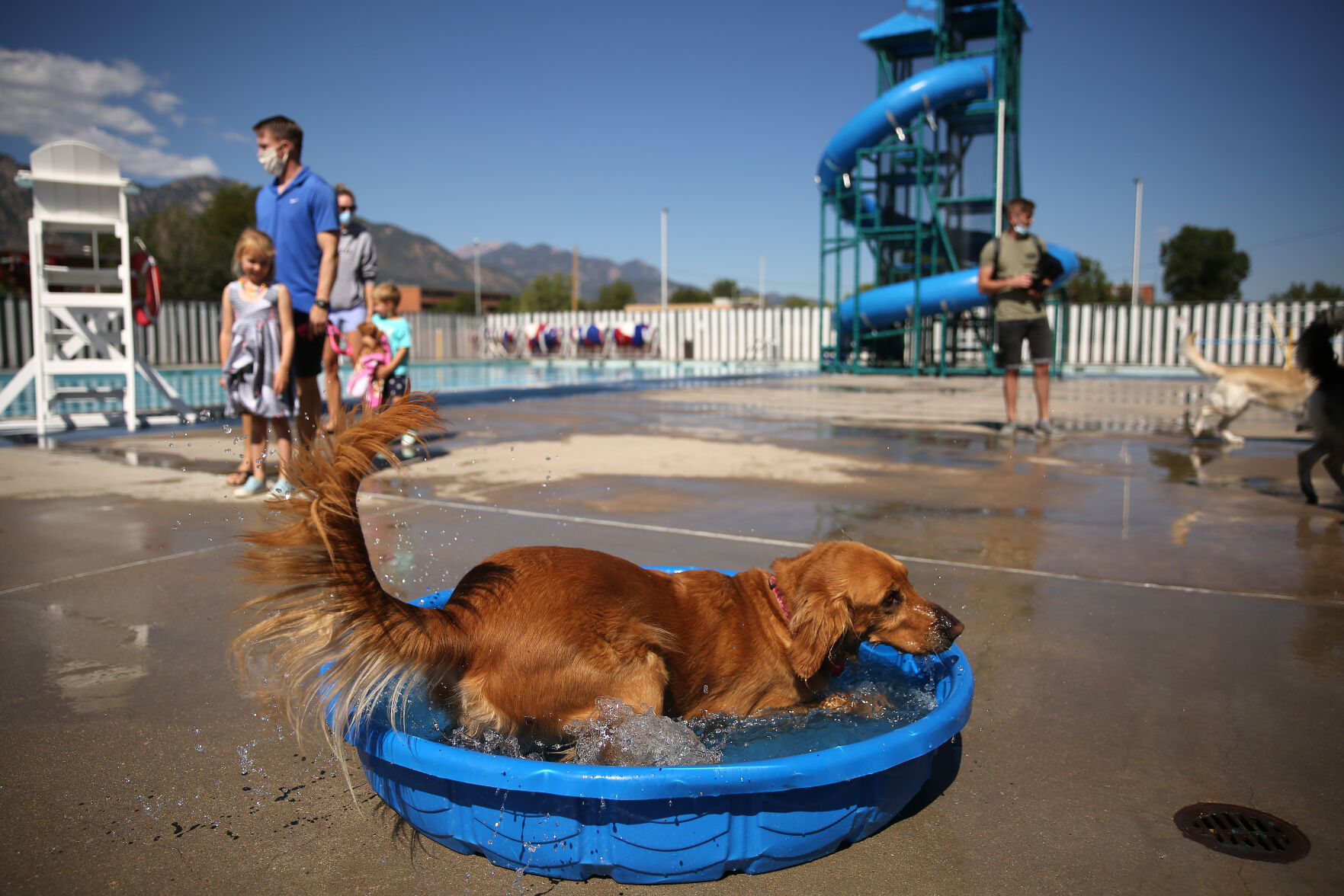 091320-news-dogsplash 21.jpg